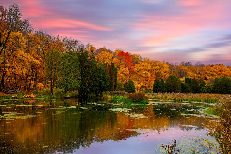 Introducing Byways to Montague: Our First Chocolate Story